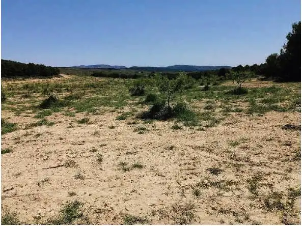 Rustikales Grundstück zum Verkauf in Almansa, imagen 7