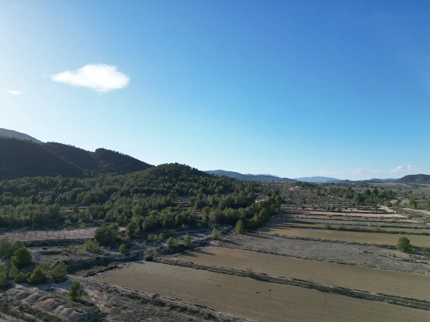 Terreny residencial en venda a Monóvar  / Monòver, imagen 9