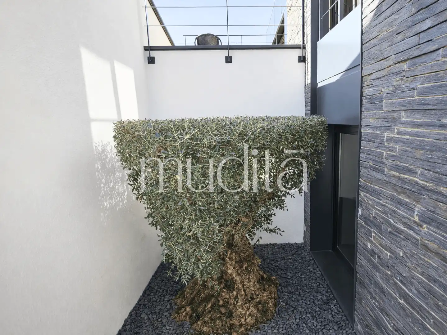 Jardín de Casa o chalet en venta en Viladrau con Calefacción, Jardín privado y Terraza