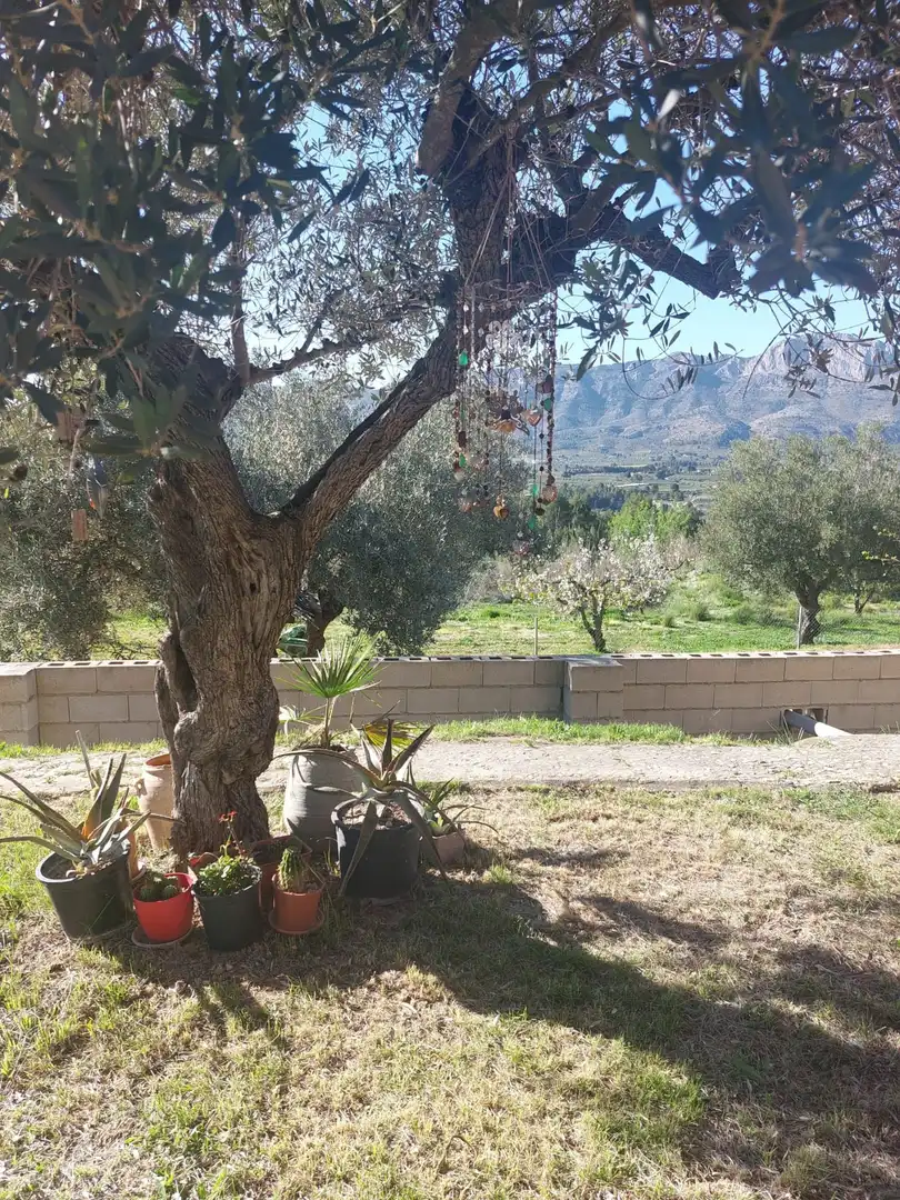 Garden of Houses for sale in Planes  with Air Conditioner, Private garden and Swimming Pool