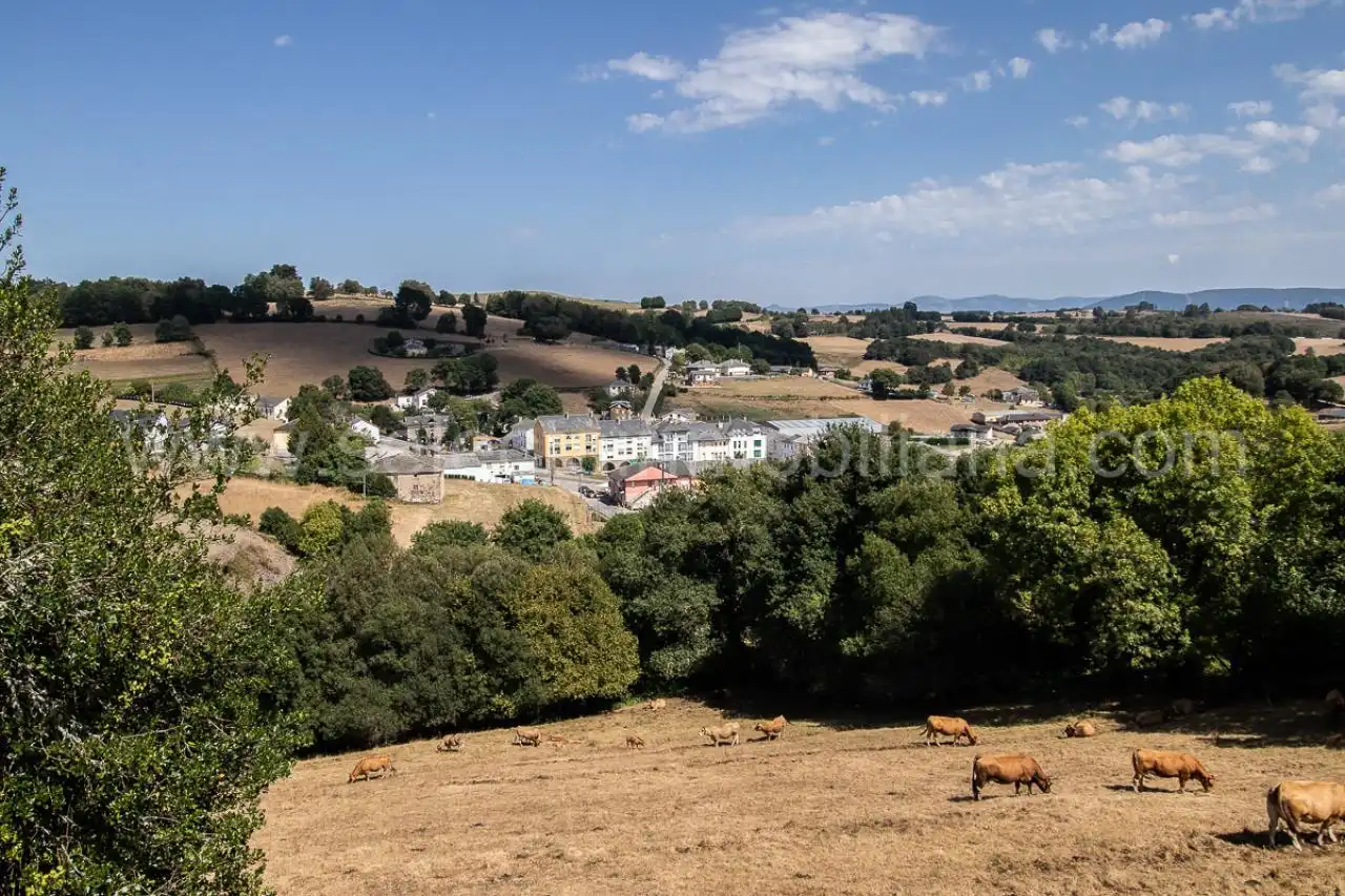 Vista exterior de Casa o xalet en venda en San Martín de Oscos amb Calefacció, Jardí privat i Terrassa