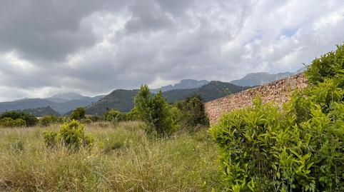 Photo 5 of Residential for sale in Llaurí, Valencia