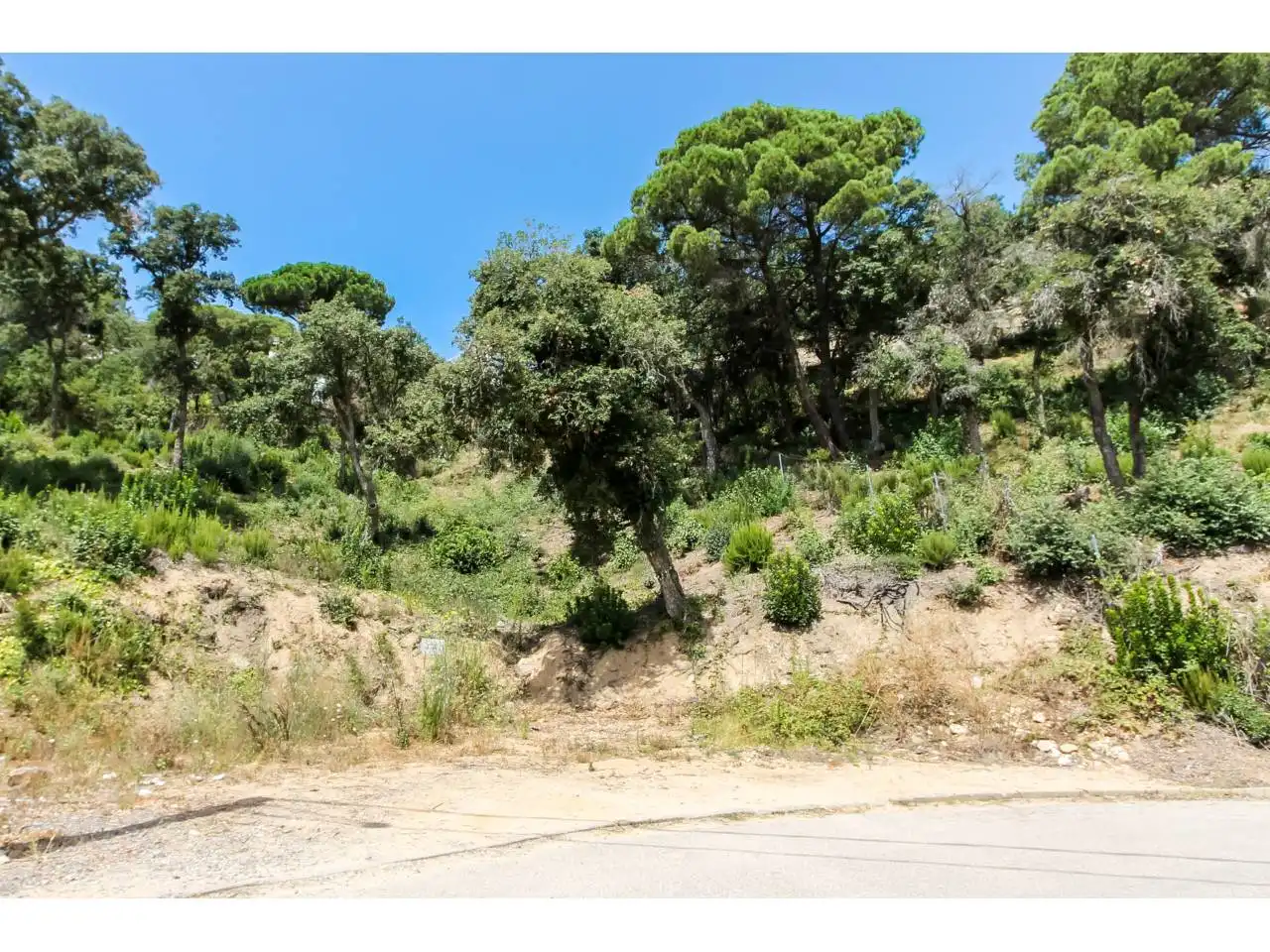 Rustikales Grundstück zum Verkauf in Avenida Ocells 39, imagen 6