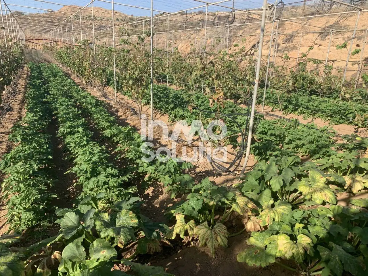 Terreno rustico in vendita a El Capitán, imagen 27