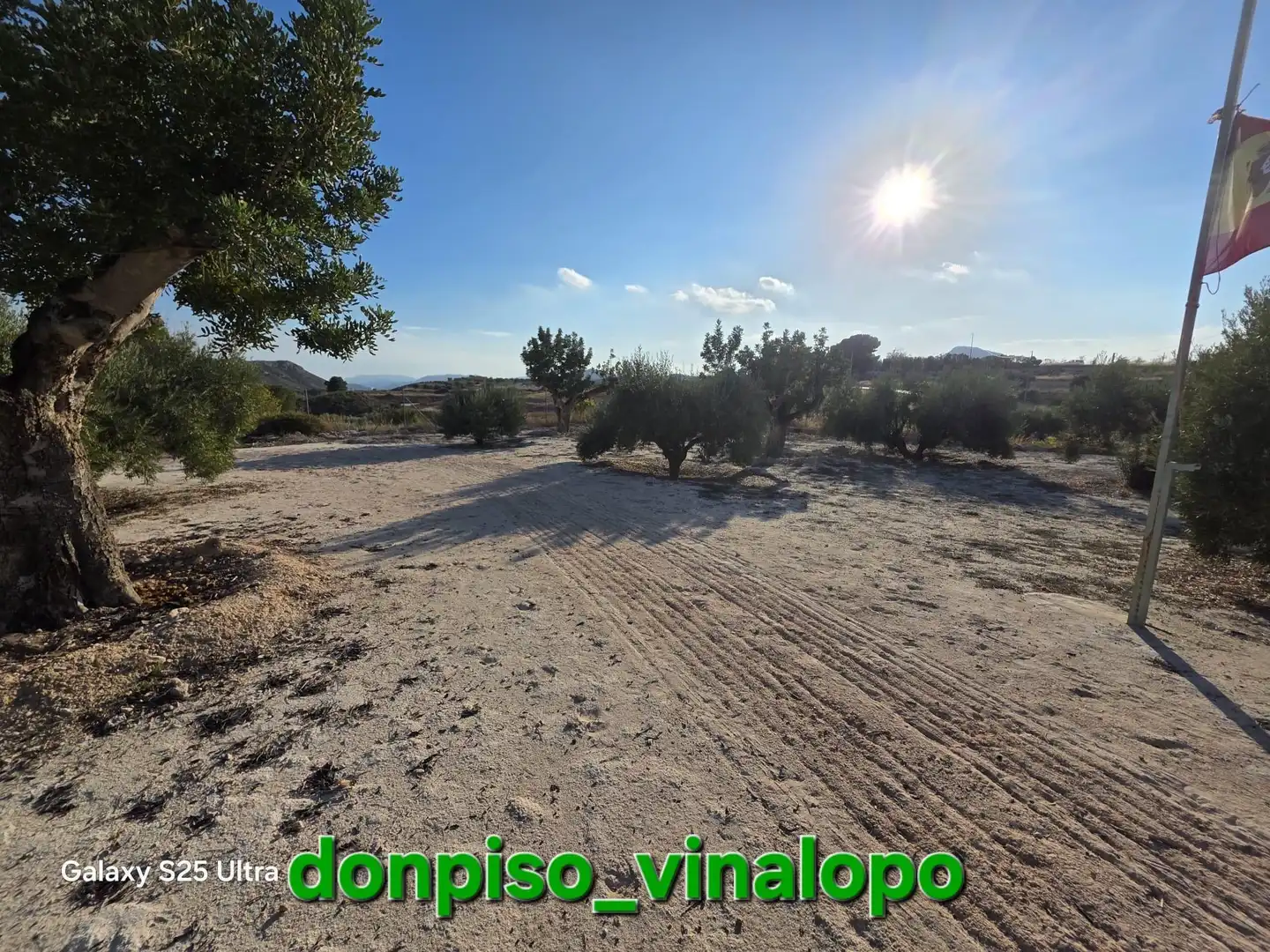 Finca rústica en venta en Petrer, Alicante