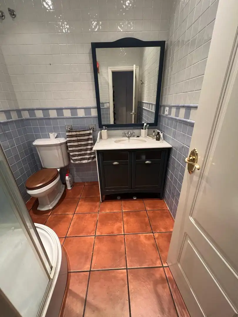 Baño de Apartamento de alquiler en Sevilla con Aire acondicionado, Terraza y Amueblado