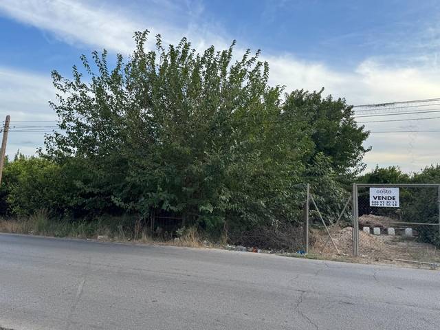 Terreno en Venta en Rafal