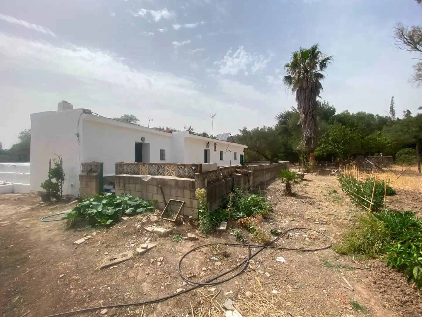 Terreni e lotti in vendita a Alcalá de los Gazules, imagen 4