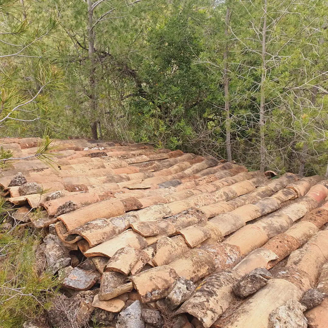 Terrain rustique à vendre à Benifallet, imagen 32