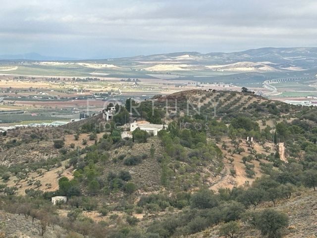 Finca rústica en venda en Antequera amb Jardí privat i Traster