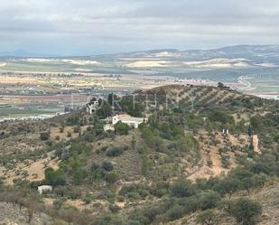 Finca rústica en venda en Antequera amb Jardí privat i Traster