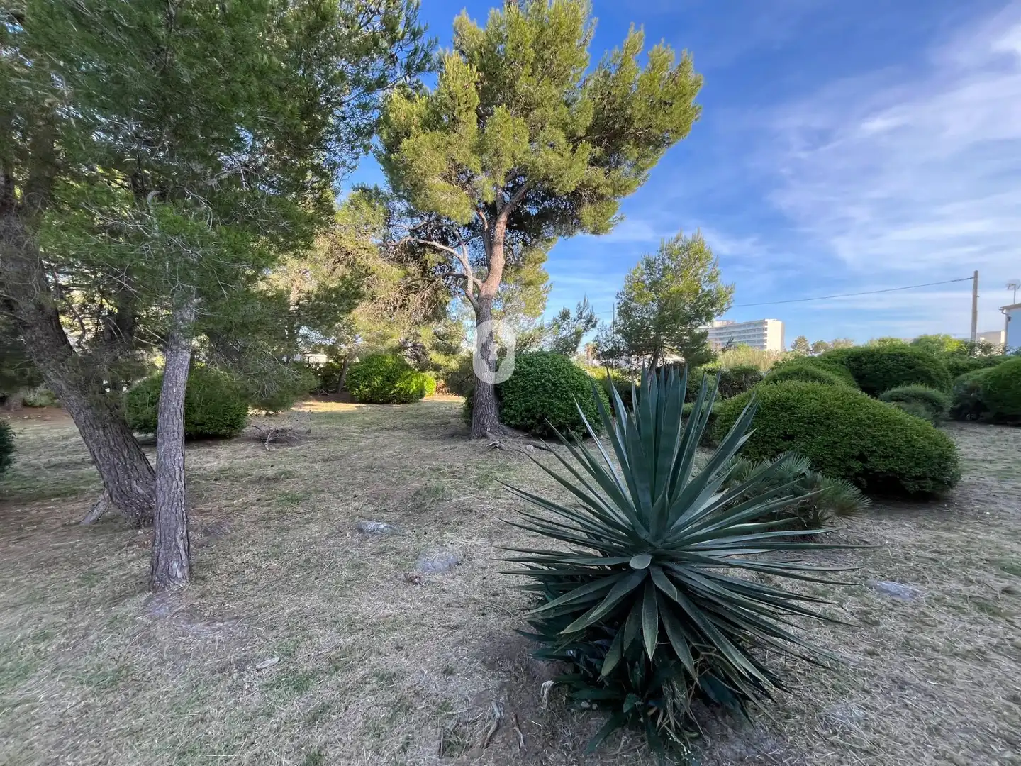 Estudio de alquiler en Pollença con Jardín privado, Terraza y Amueblado