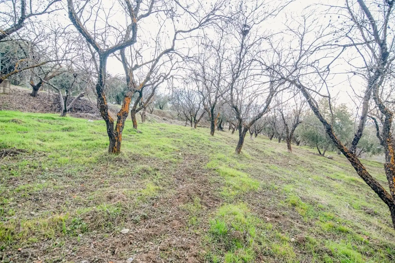 Mini appartamento in vendita a Pinos Genil, imagen 19