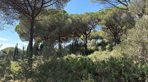 Foto 3 von Grundstücke zum Verkauf in Distrito Montalnou- Milans del Bosc, Montalnou - Milans del Bosc, Sant Vicenç de Montalt