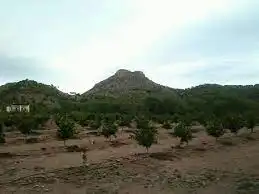 Terreno residenziale in vendita a Calle Levante, imagen 11