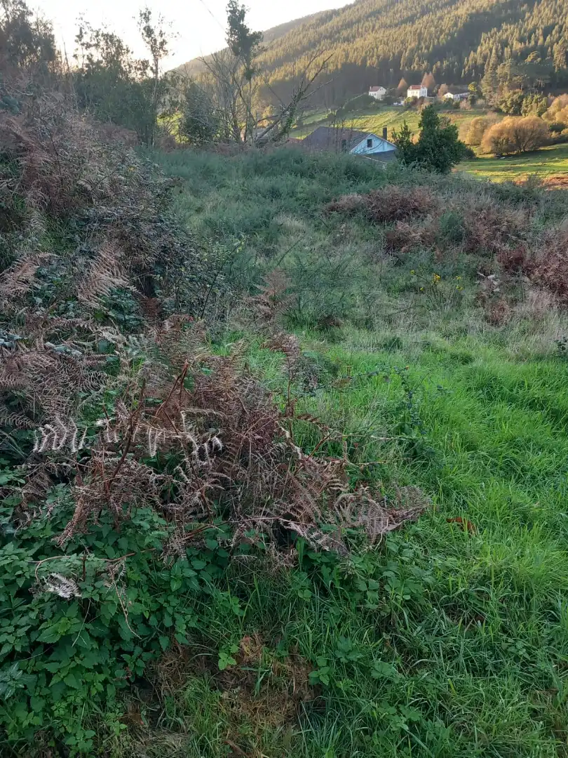 Terreno residenziale in vendita a Área Rural, imagen 8