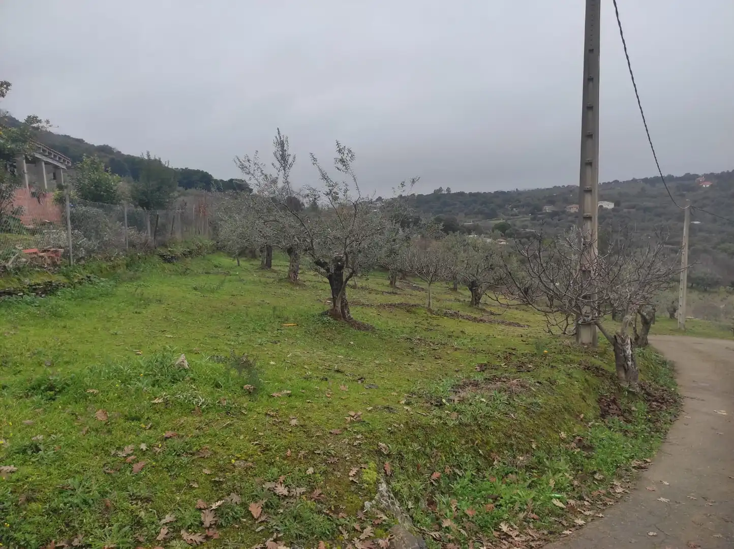 Terreno en venta en Plasencia
