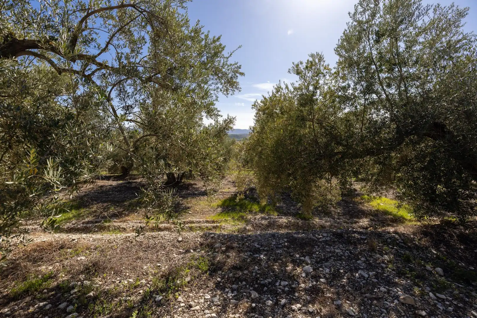 Terreni e lotti in vendita a Dúrcal, imagen 17