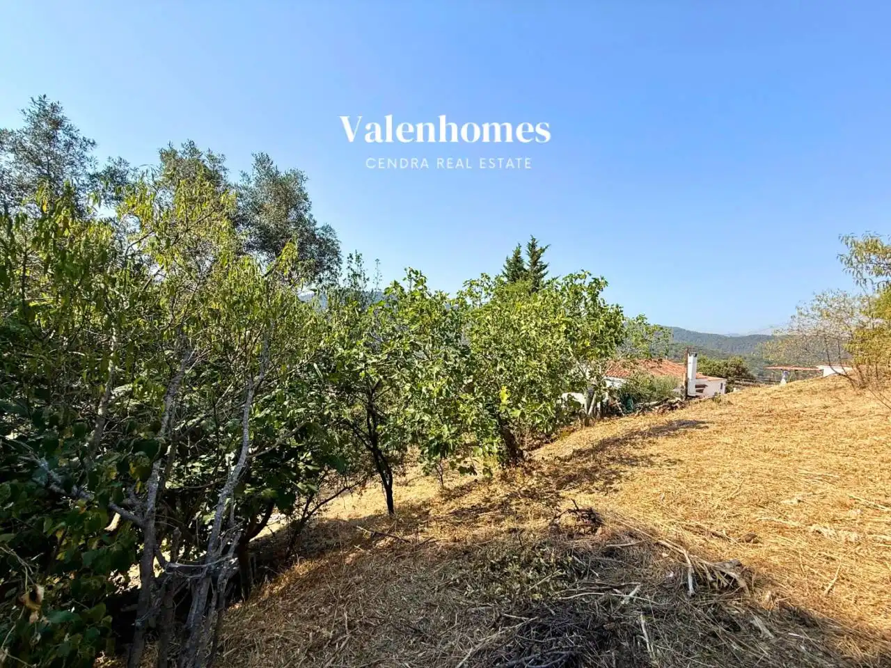 Terreno residenziale in vendita a Les Planes, imagen 19