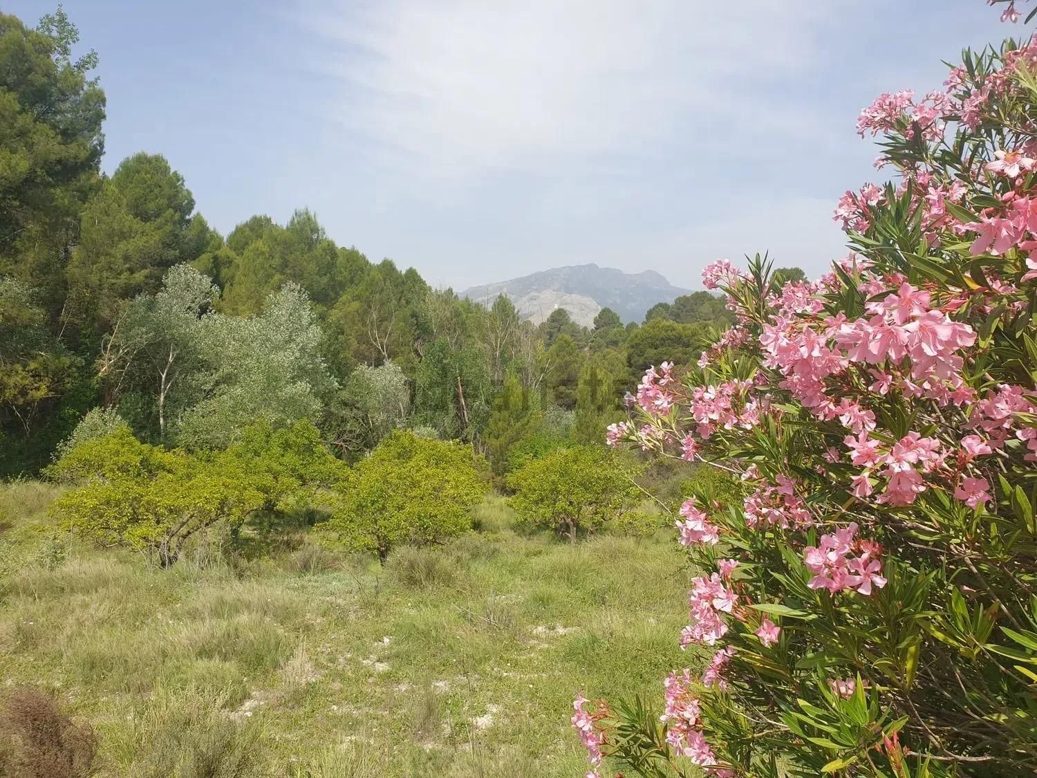 House or chalet for sale in Cocentaina  with Swimming Pool