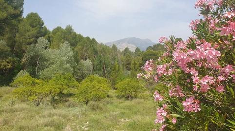 Photo 2 of House or chalet for sale in Cocentaina, Alicante