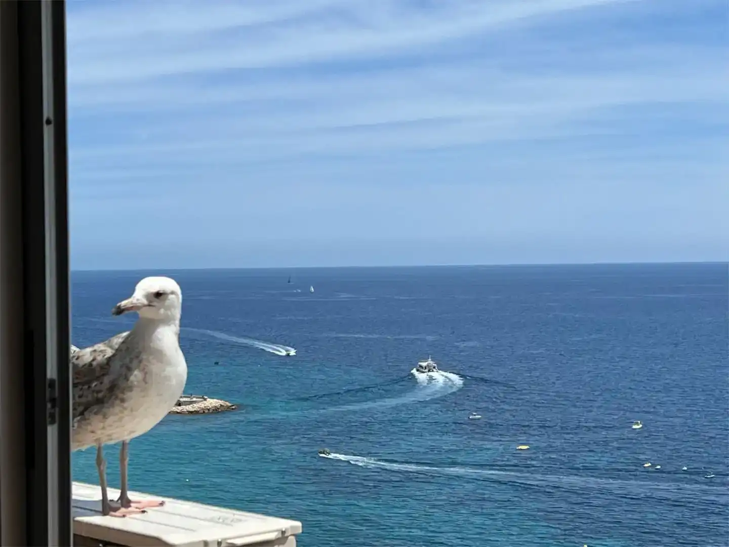 Außenansicht von Wohnung zur Miete in Benidorm mit Klimaanlage, Privatgarten und Schwimmbad