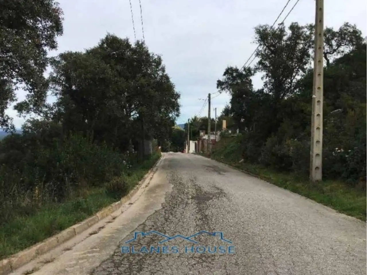 Vista exterior de Terreno en venta en Maçanet de la Selva