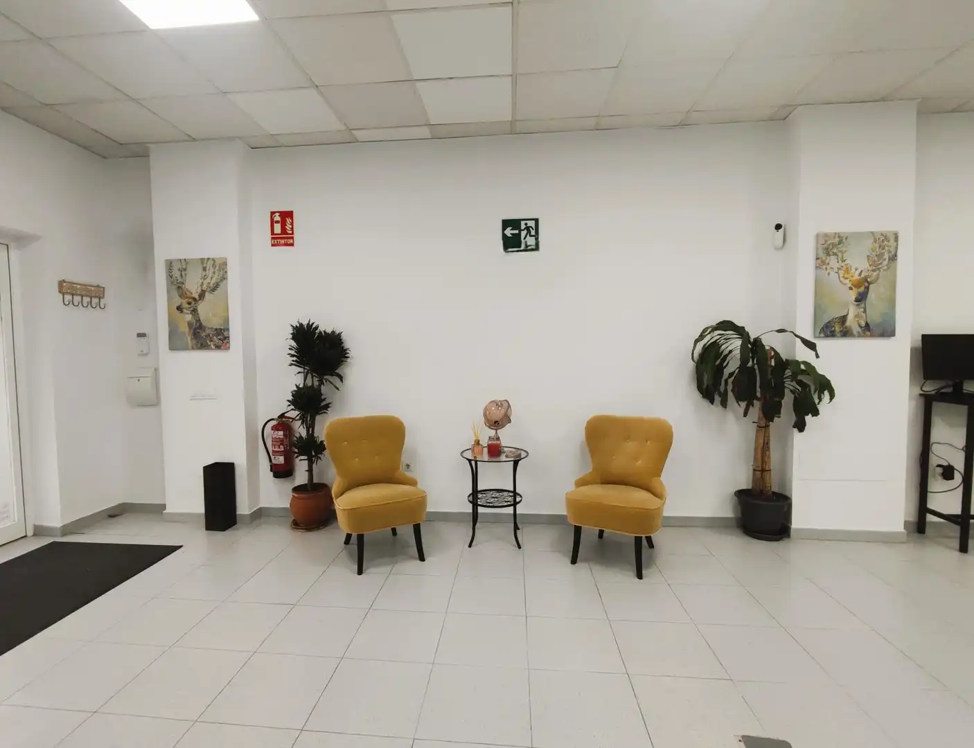 Business premises for sale in Asdrúbal - Bahía Blanca, imagen 2