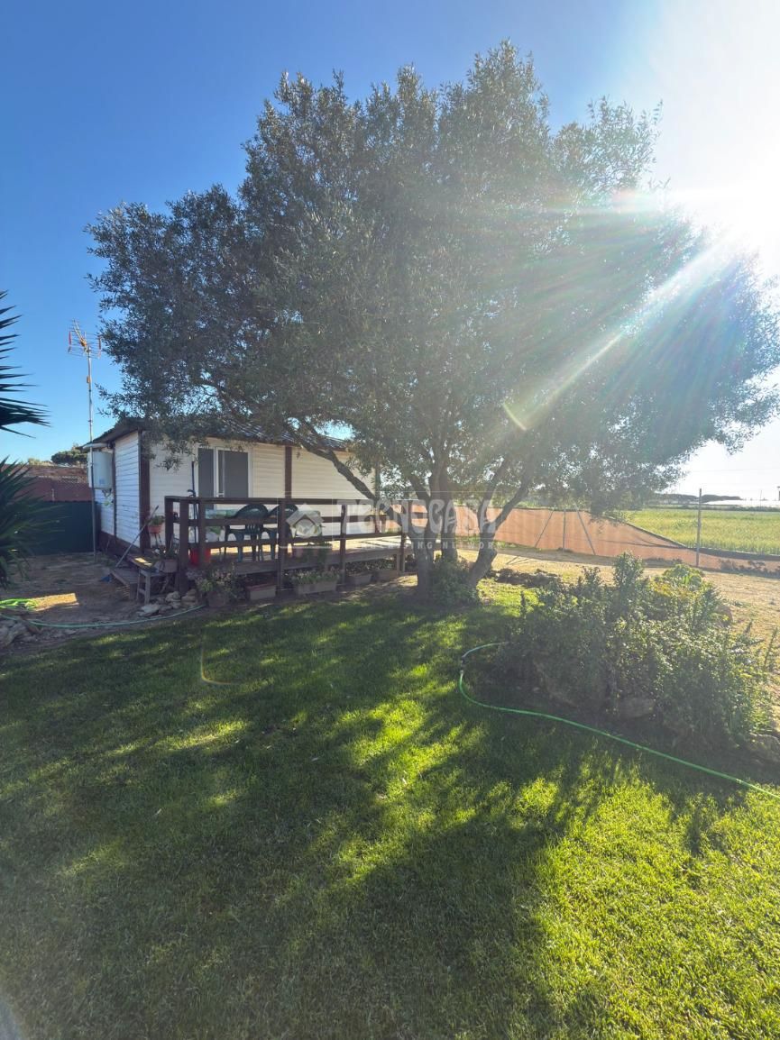 Garden of Country house for sale in Conil de la Frontera  with Private garden, Terrace and Furnished