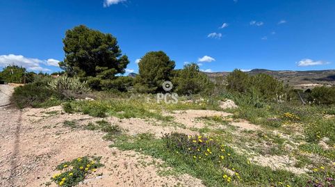 Photo 5 of Land for sale in Calle Zona la Paloma, S/n, Totana, Murcia