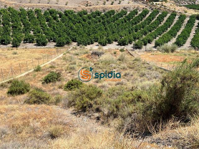 Terreno en Venta en Tébar - Los Arejos