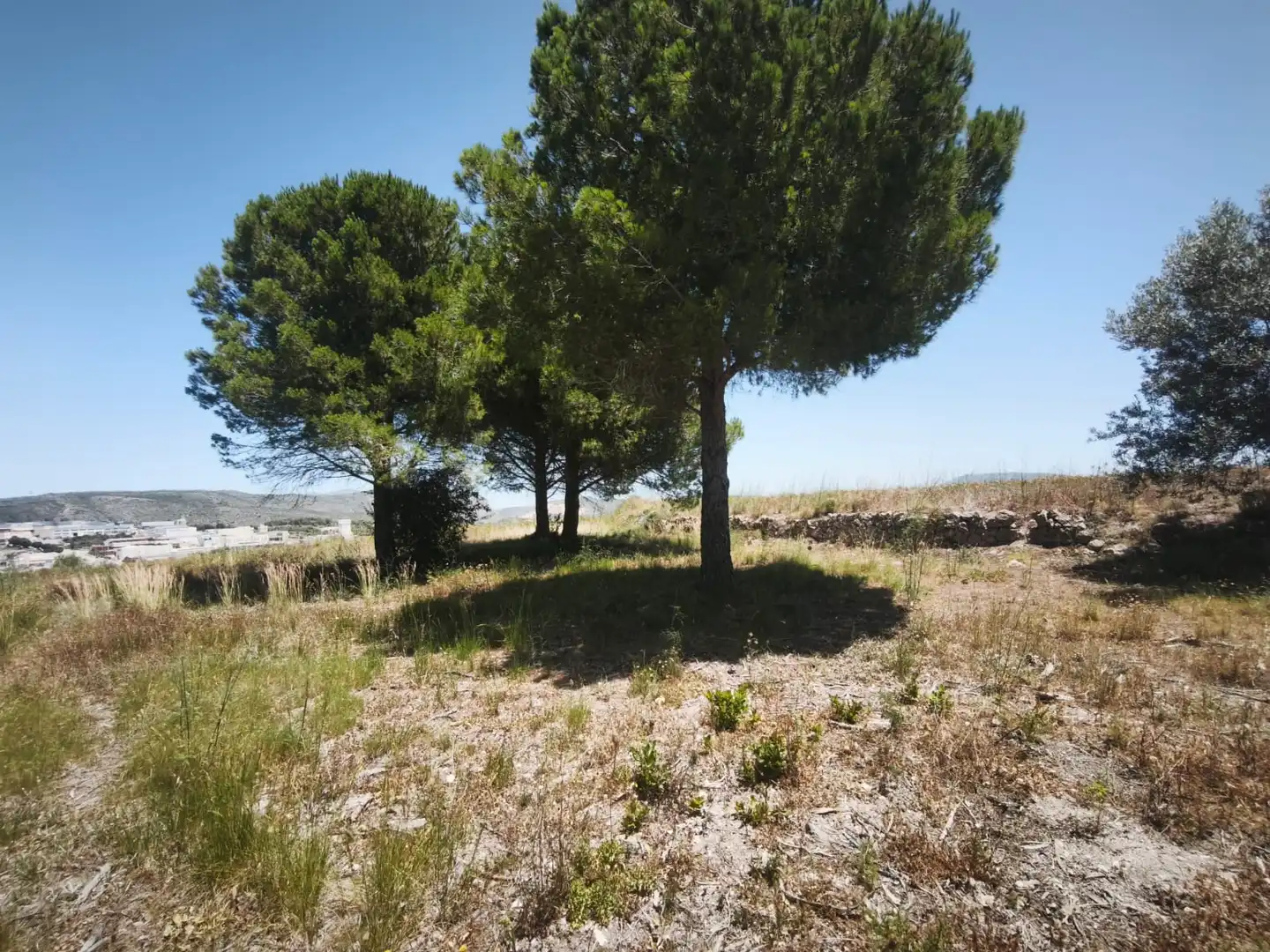 Casa rústica en venta en Montroi / Montroy, imagen 7