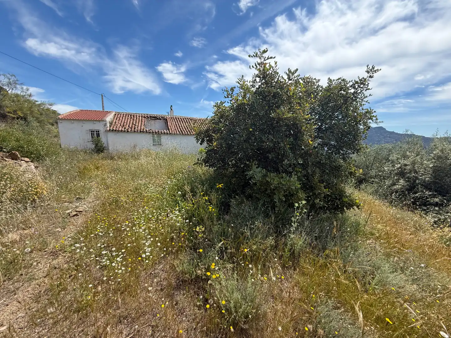 Casa o chalet en venta en Colmenar