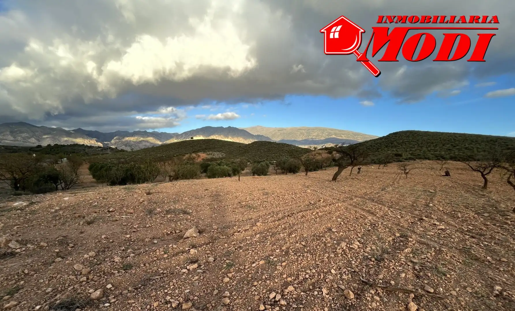 Terrenys i solars en venda a Villamena, imagen 7