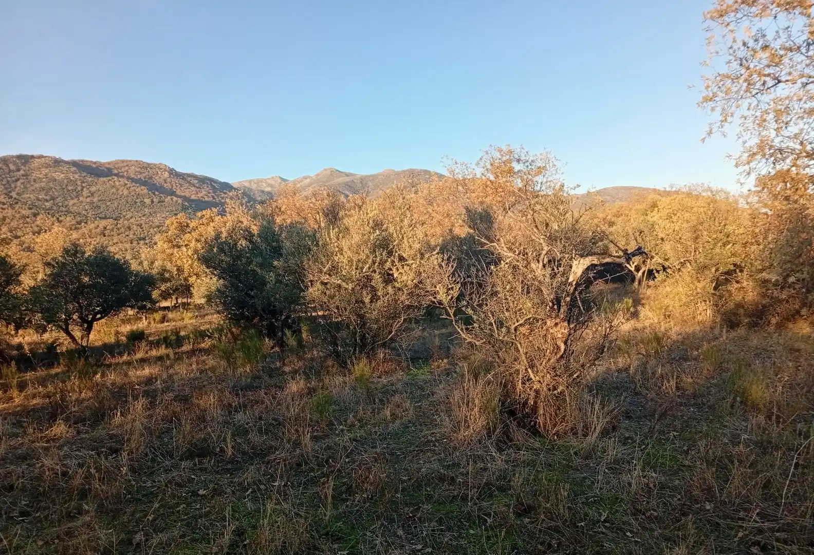Terreni e lotti in vendita a Viandar de la Vera, imagen 24