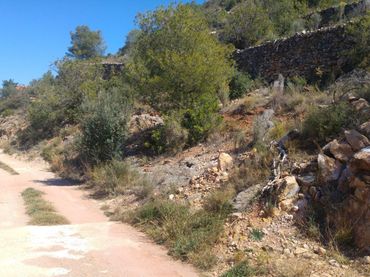 Terrenys i solars en venda a Borriol
