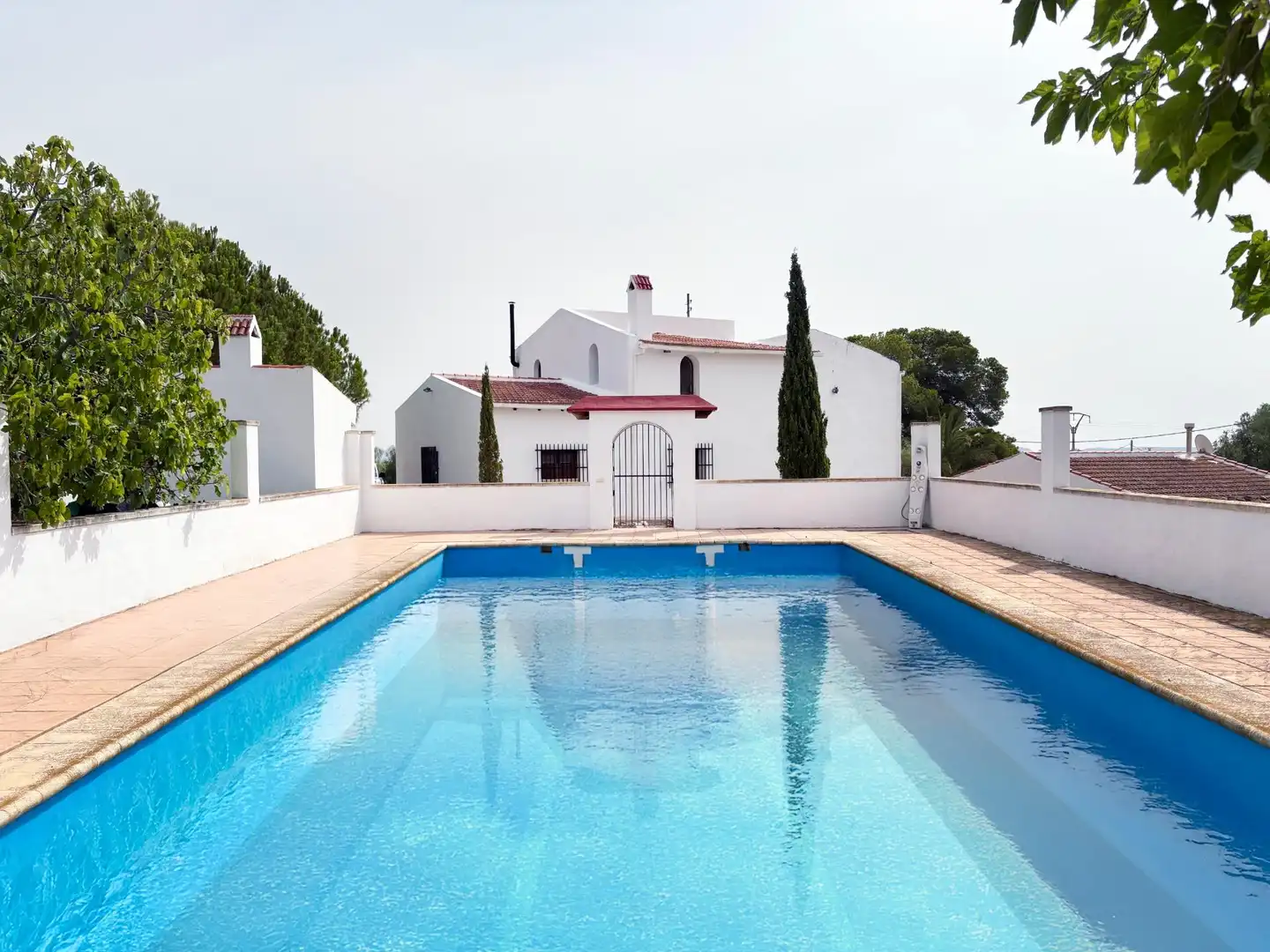 Piscina de Casa o chalet en venta en Novelda con Aire acondicionado, Calefacción y Jardín privado