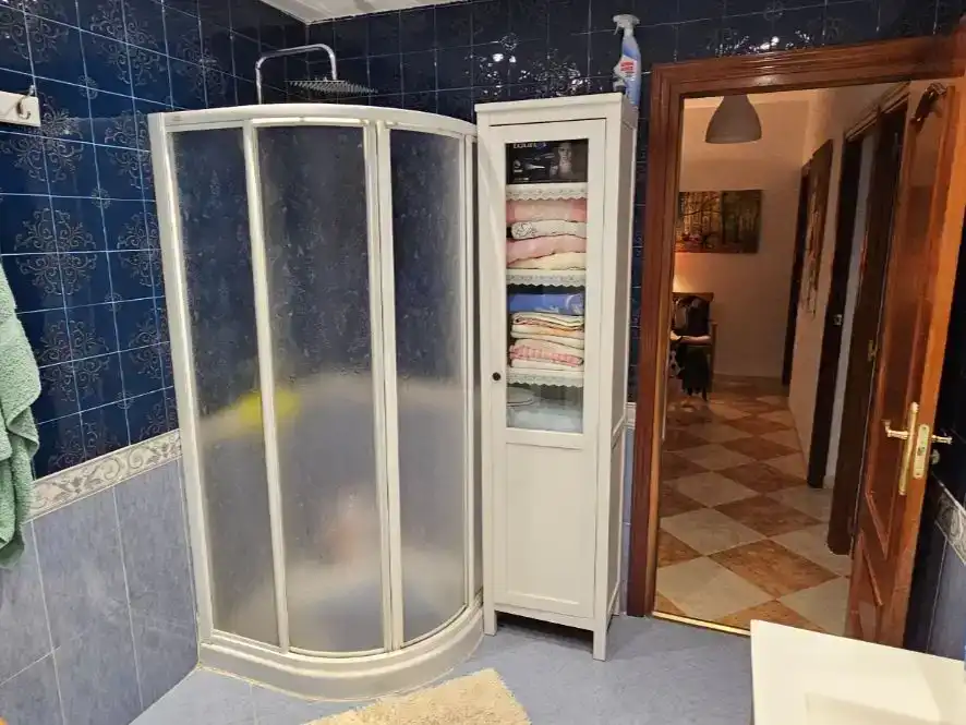 Baño de Casa o chalet en venta en Almorox, Toledo