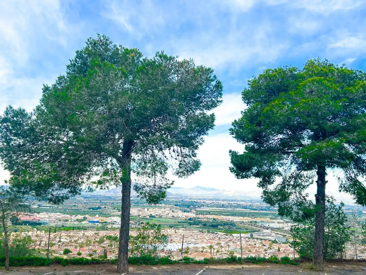 Apartment for sale in Rojales, imagen 14
