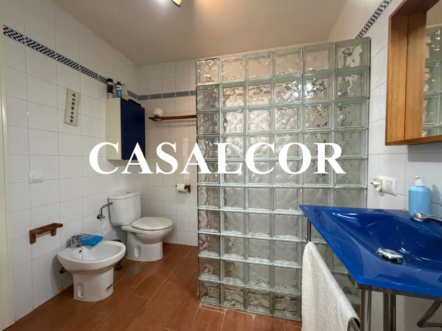 Bany de Casa o xalet en venda en Mairena del Alcor, Sevilla