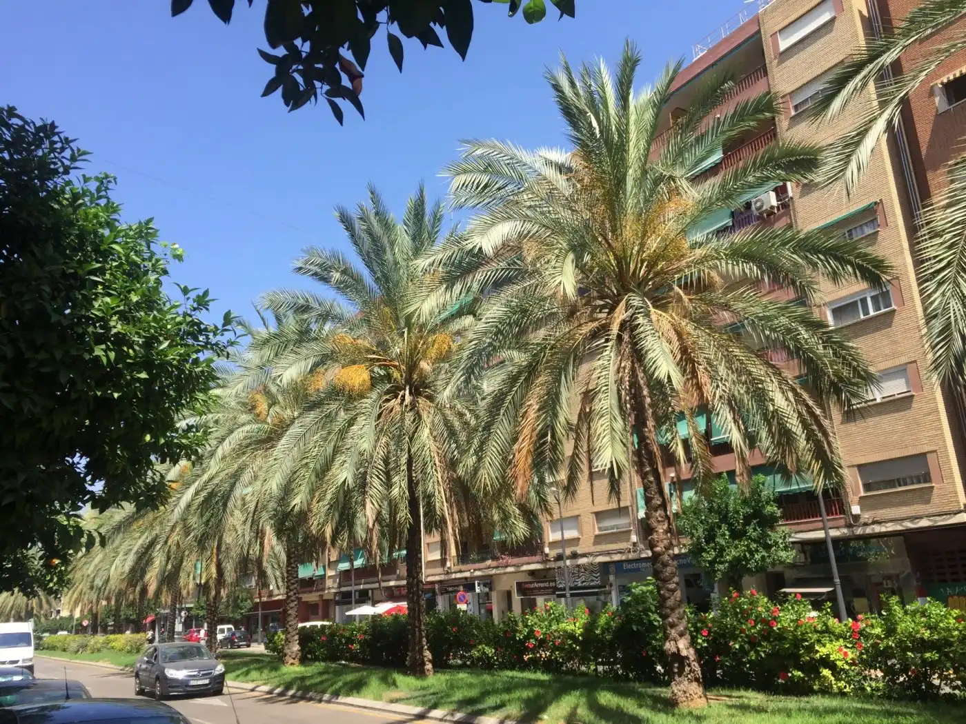 Außenansicht von Wohnung zur Miete in Valencia mit Terrasse, Möbliert und Balkon