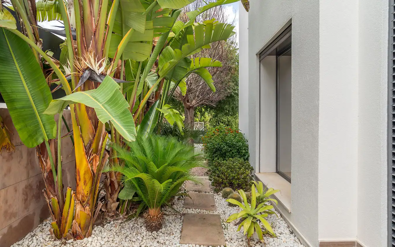 Finca rústica en venta en Sant Nicolau