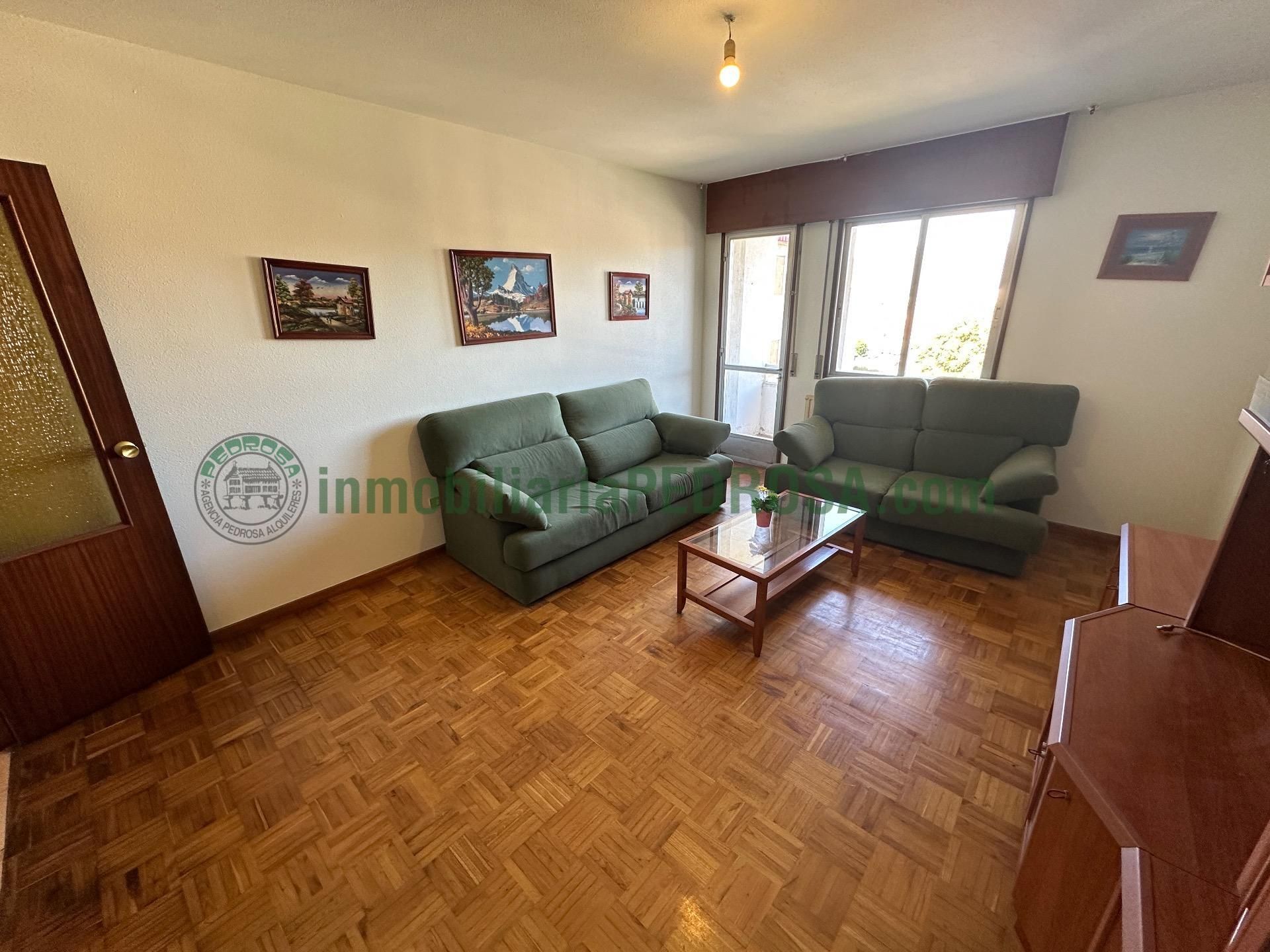 Sala d'estar de Pis en venda en Pontevedra Capital  amb Balcó