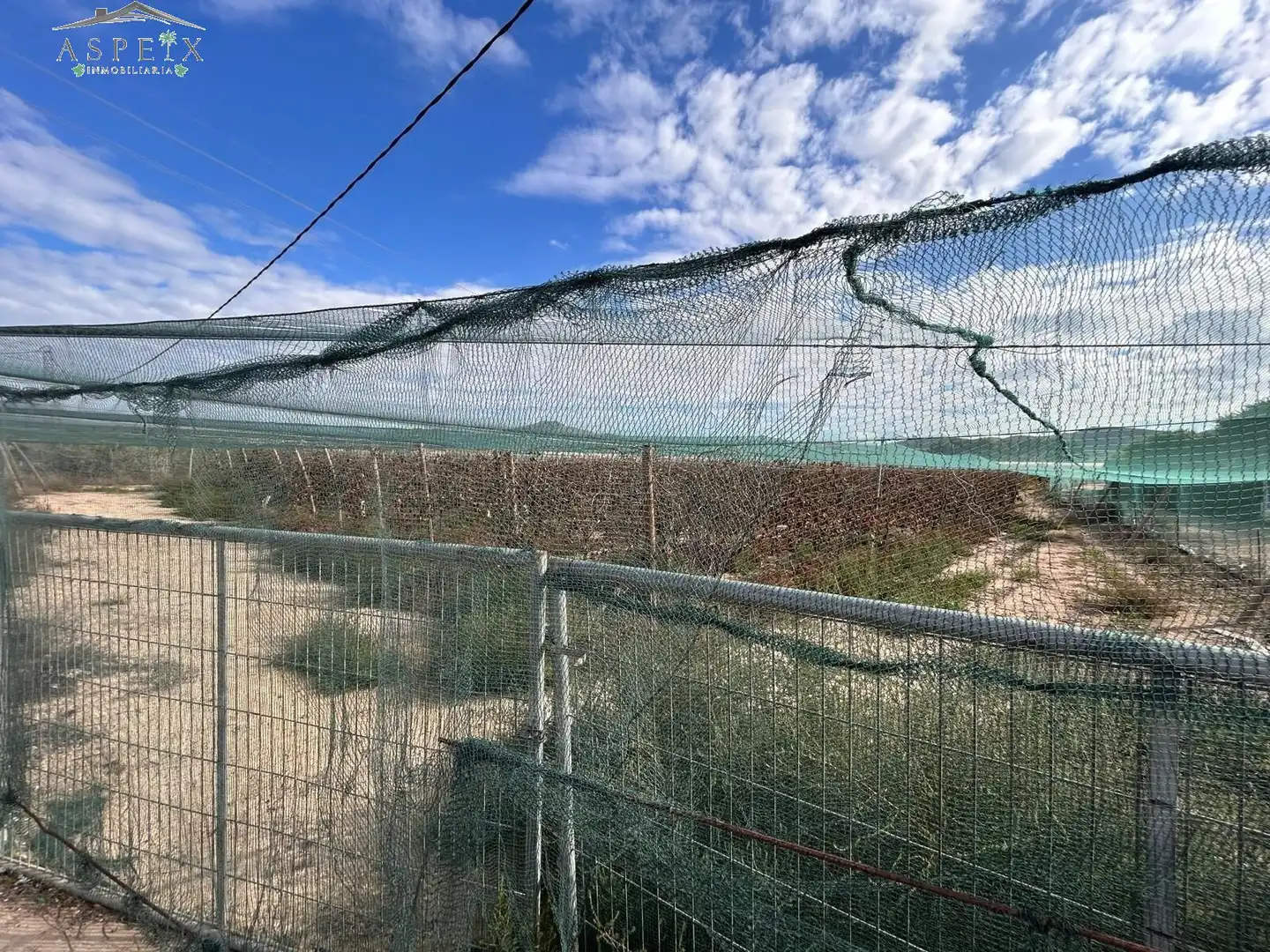 Rustikales Grundstück zum Verkauf in Monforte del Cid, imagen 2