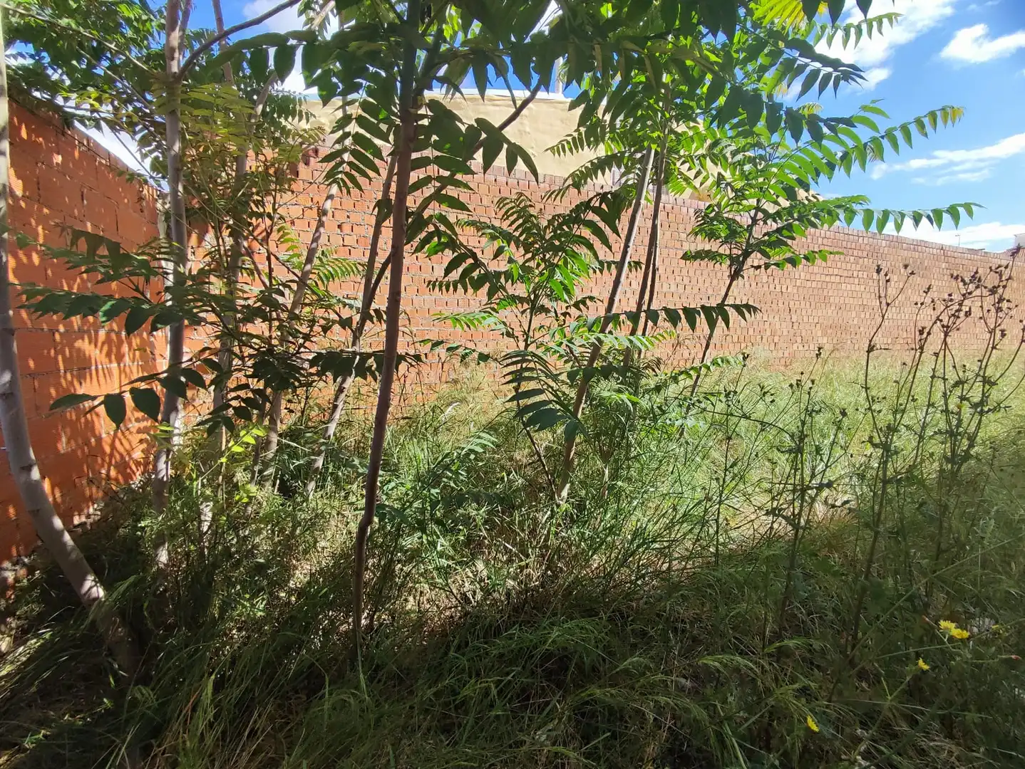 Terreny residencial en venda a Calle de Santa Catalina, imagen 4