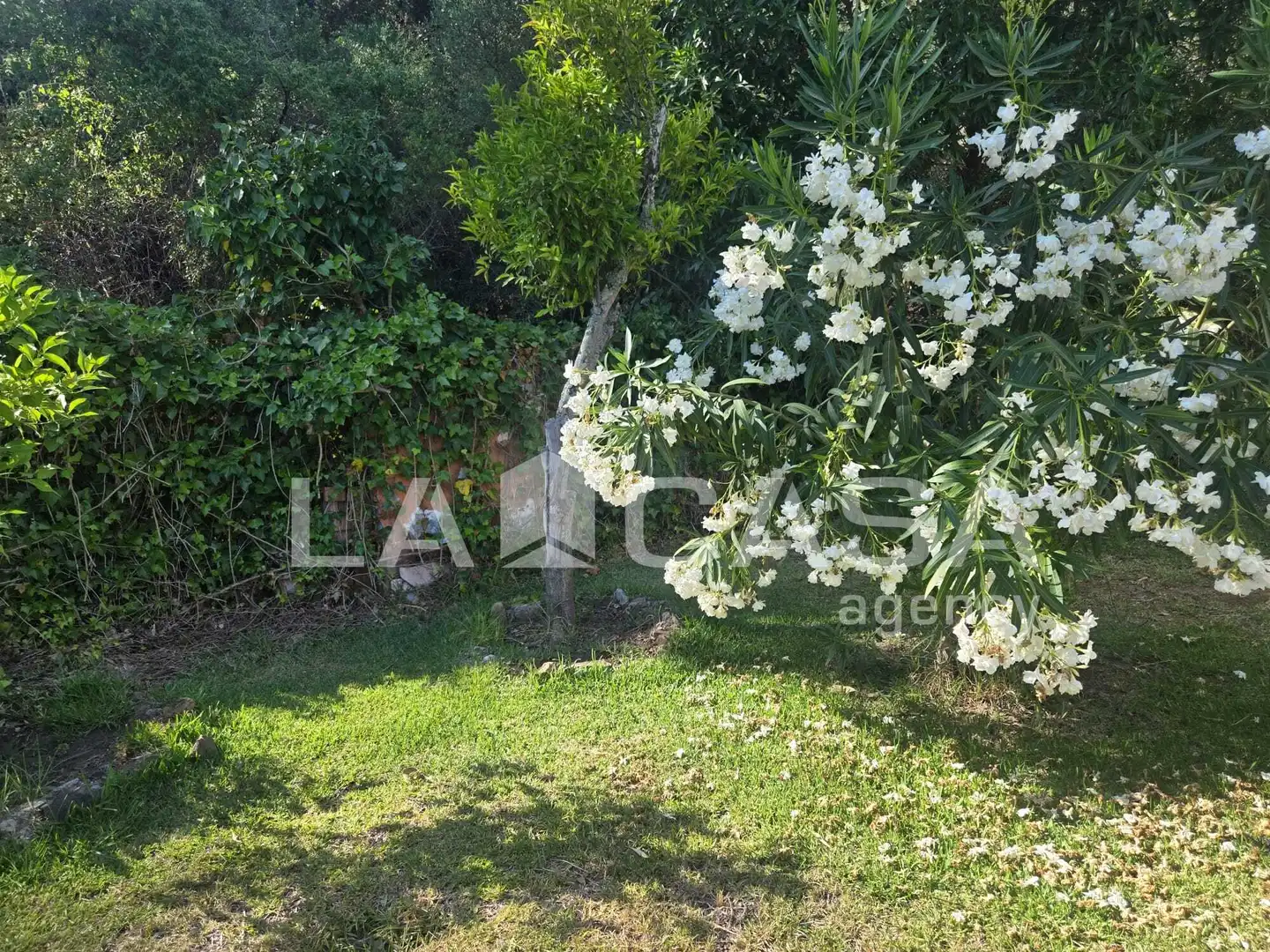 Jardín de Casa o chalet en venta en Algeciras con Jardín privado