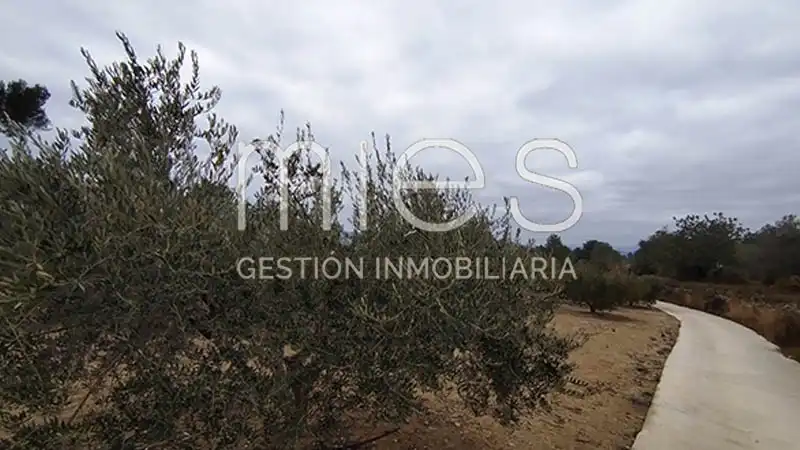 Rustikales Grundstück zum Verkauf in CANA MURTA 0, imagen 14