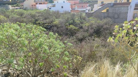 Foto 3 de Residencial en venta en Paseo la Centinela, San Felipe - San Marcos - Las Cañas, Icod de los Vinos