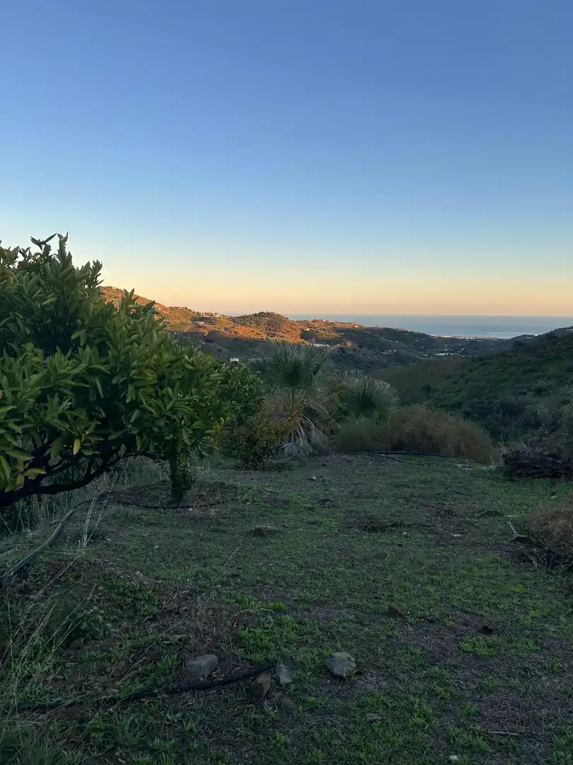 Finca rústica en venda en Macharaviaya amb Terrassa, Traster i Piscina