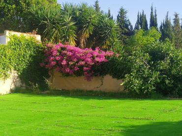 Chalet con jardín en venta en Carretera Carretera Cerralba N-1